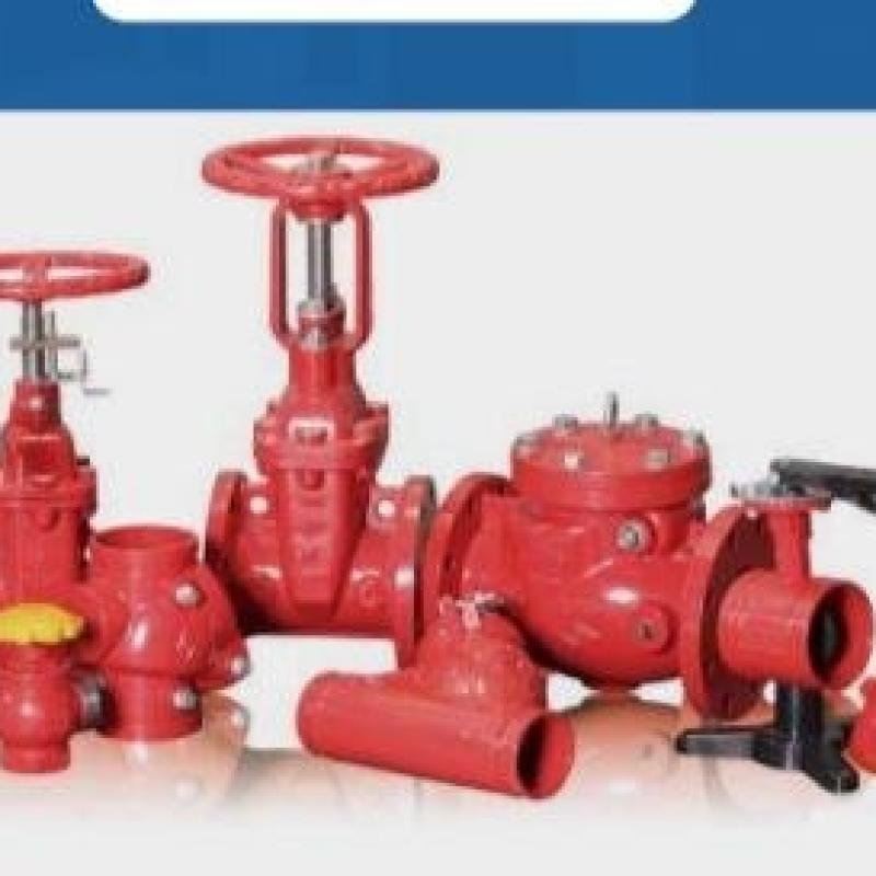 محابس وأنظمة الحماية من الحريق – Fire Protection Valves & Hydrants