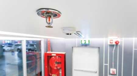 WhatsApp Image 2026-04-21 at 3.13.24 PM (1)